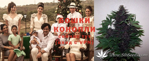 МДПВ Липки