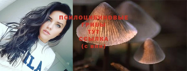 ешки Лиски