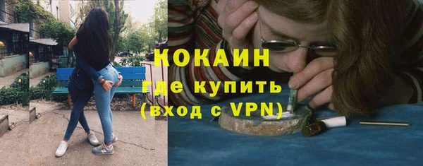 индика Фёдоровский