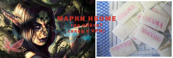 гашик Нестеровская