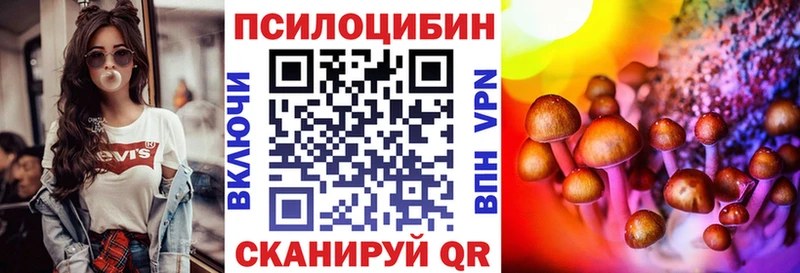 Галлюциногенные грибы Psilocybe  hydra   Железногорск 