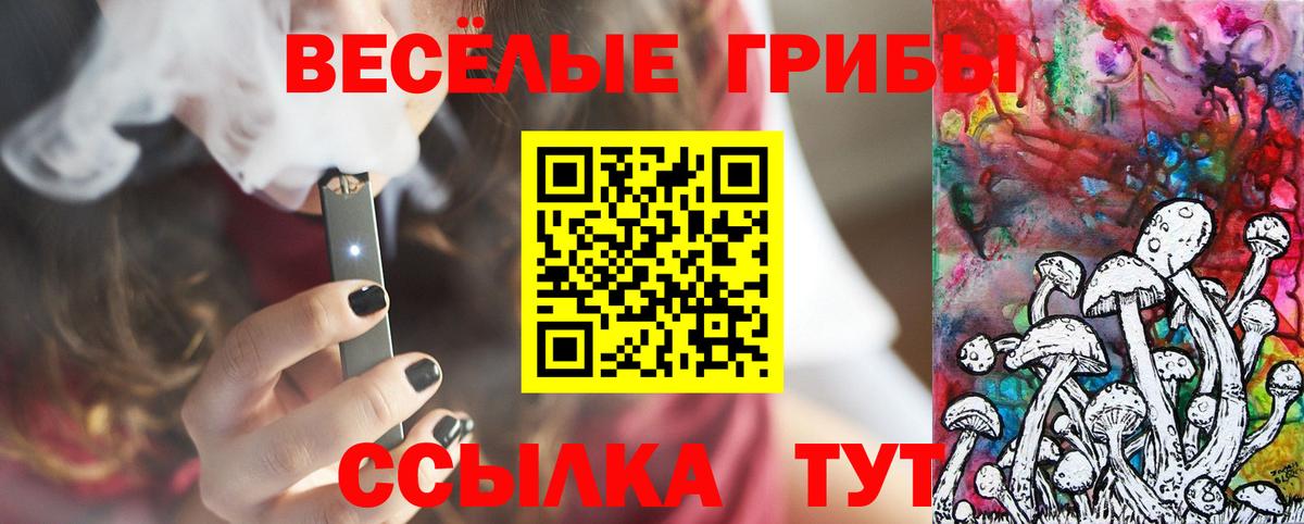Псилоцибиновые грибы Psilocybine cubensis Железногорск