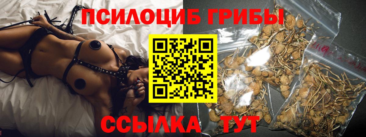 Железногорск  Псилоцибиновые грибы GOLDEN TEACHER  Галлюциногенные грибы мухоморы  Вход с VPN 